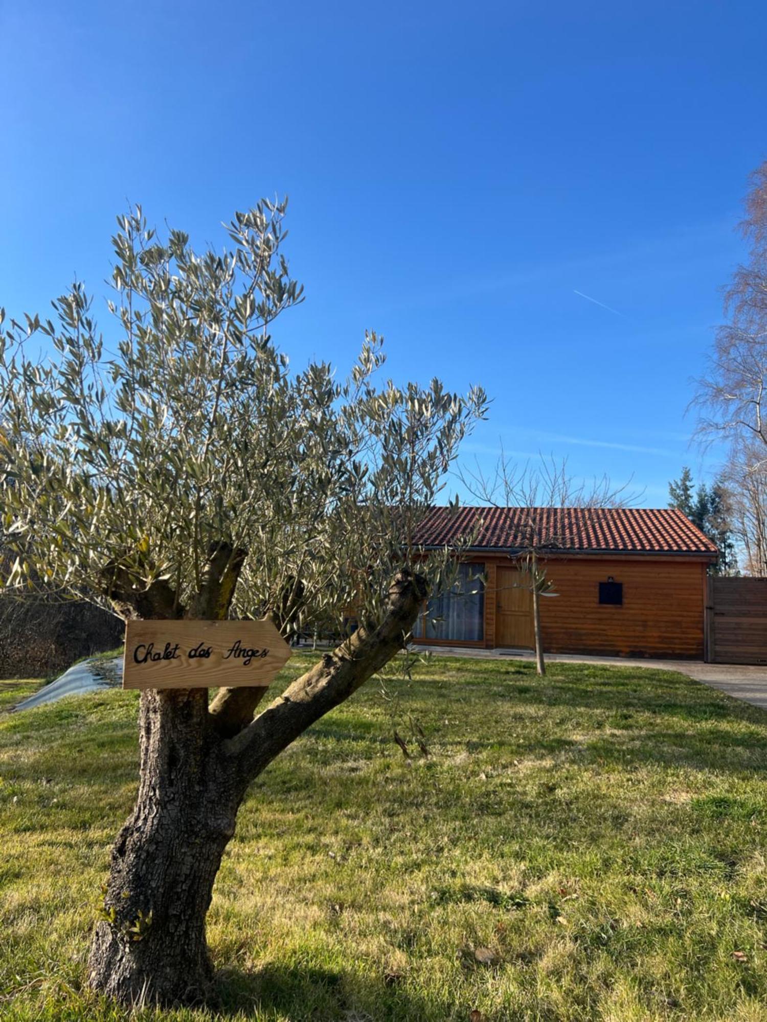 Chalet Des Anges Youx Экстерьер фото